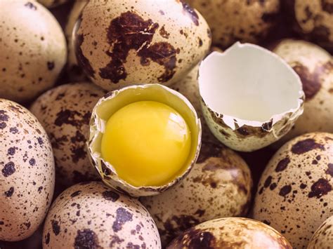 1 bıldırcın yumurtası kaç yumurtaya bedel